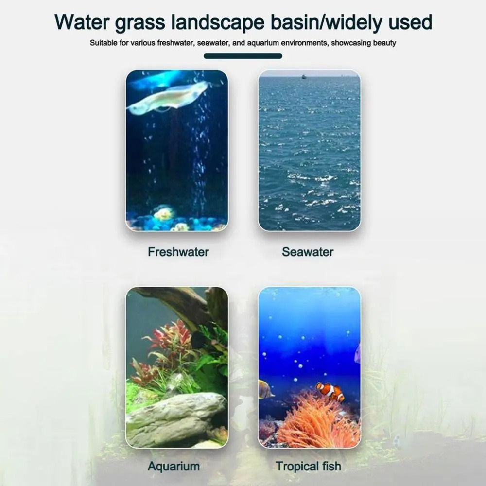 10Pcs Transparent Plant Hydrop - Aquarium Plants Live recension och pris