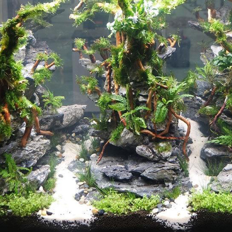 Natural Driftwood Root Trunk T - Aquarium Driftwood recension och pris