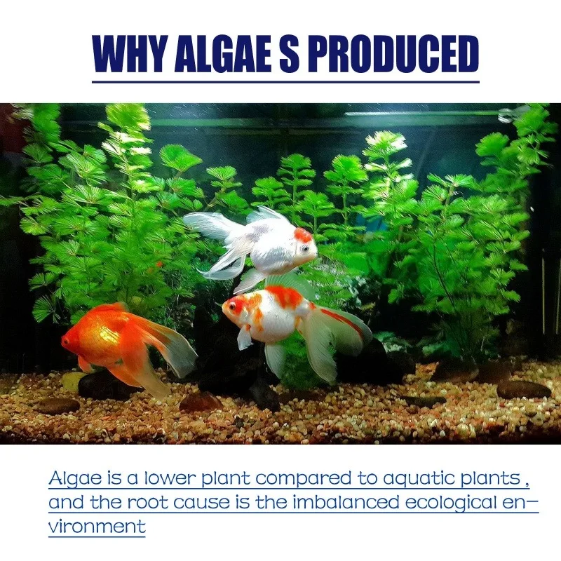 50g High Efficiency Algaecide  - Aquarium Fertilizer recension och pris