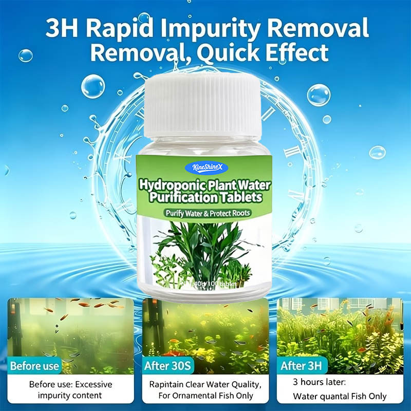 Hydroponic Water Purification  - Plant Aquarium Pot recension och pris