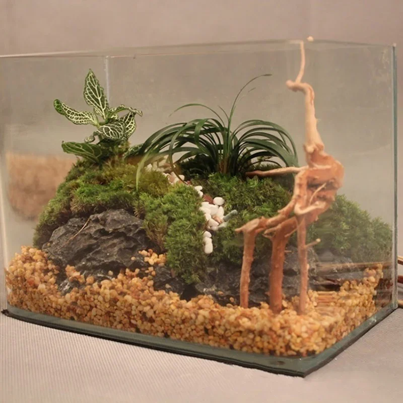 Natural Tree Trunk Driftwood A - Aquarium Plant Substrate recension och pris