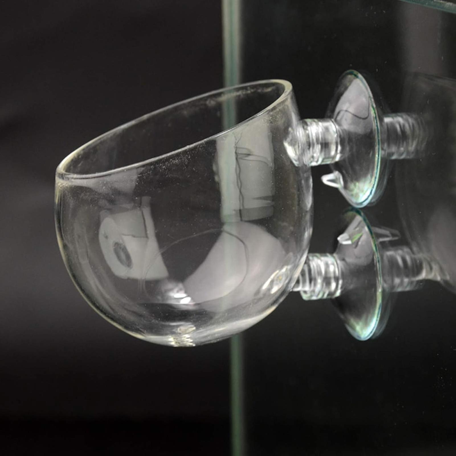 Aquarium Plant Holder Glass Aq - Aquarium Plants Live recension och pris