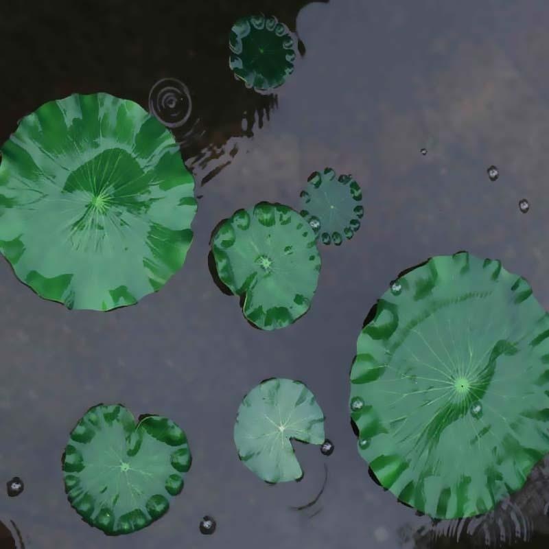 2026 Artificial Water Lily Lot - Aquarium Plant Substrate recension och pris