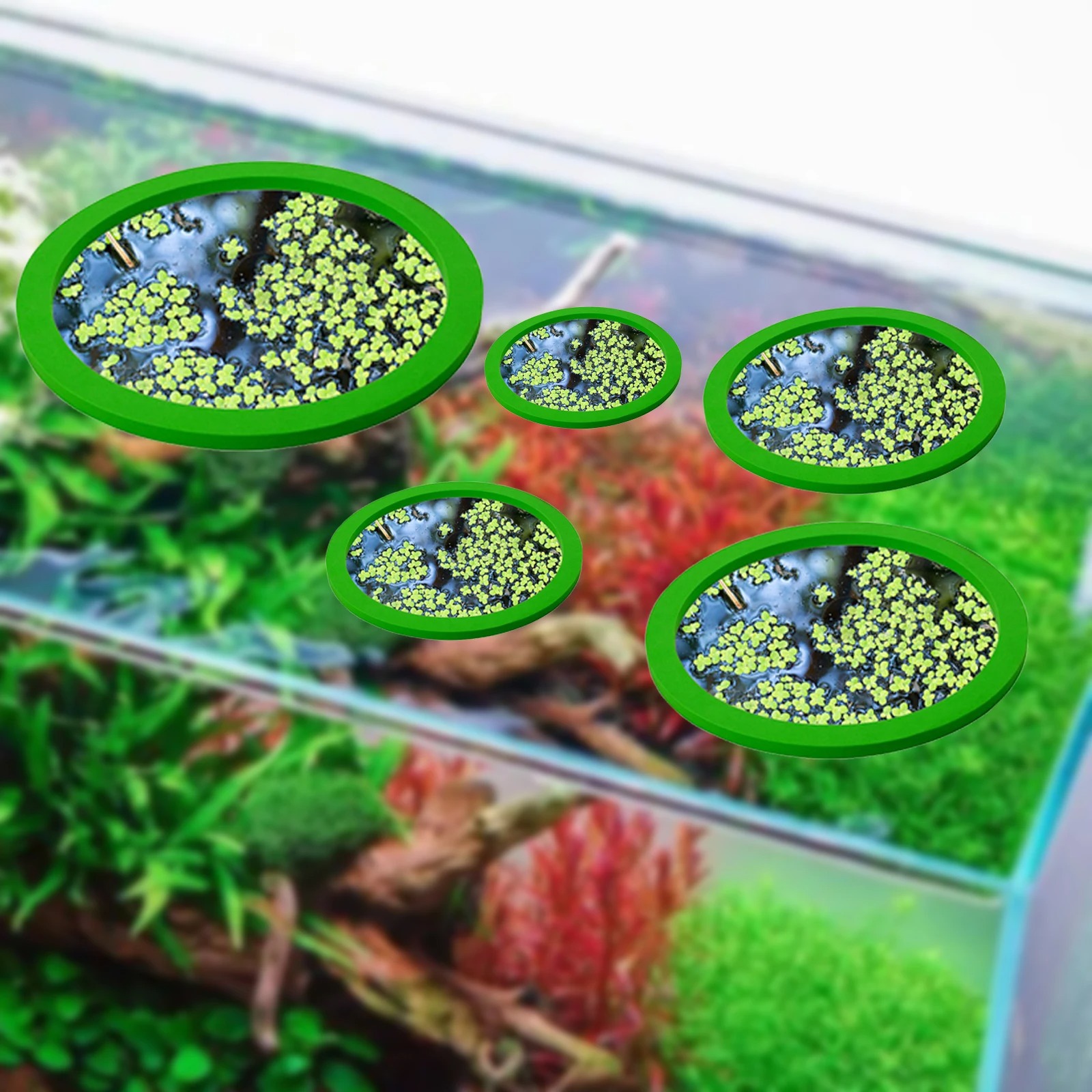 5Pcs EVA Fish Feeding Ring Aqu - Planted Tank recension och pris