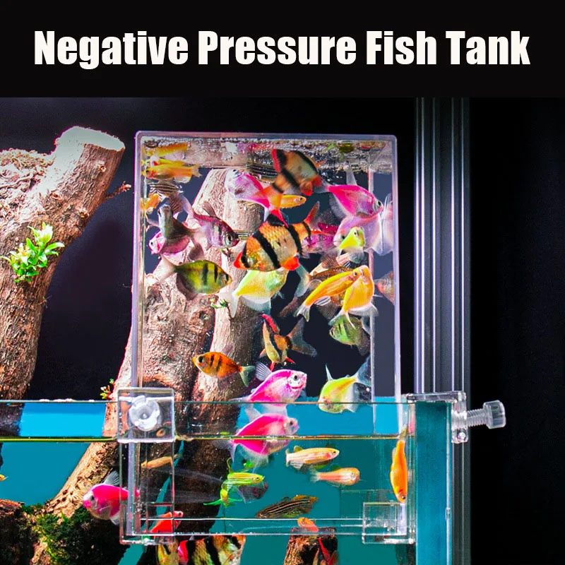 Creative Aquarium Tanks Negati - Plant Aquarium Pot recension och pris