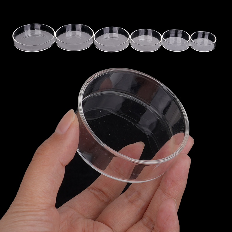 Shrimp Feeding Dish High Trans - Aquarium Fertilizer recension och pris