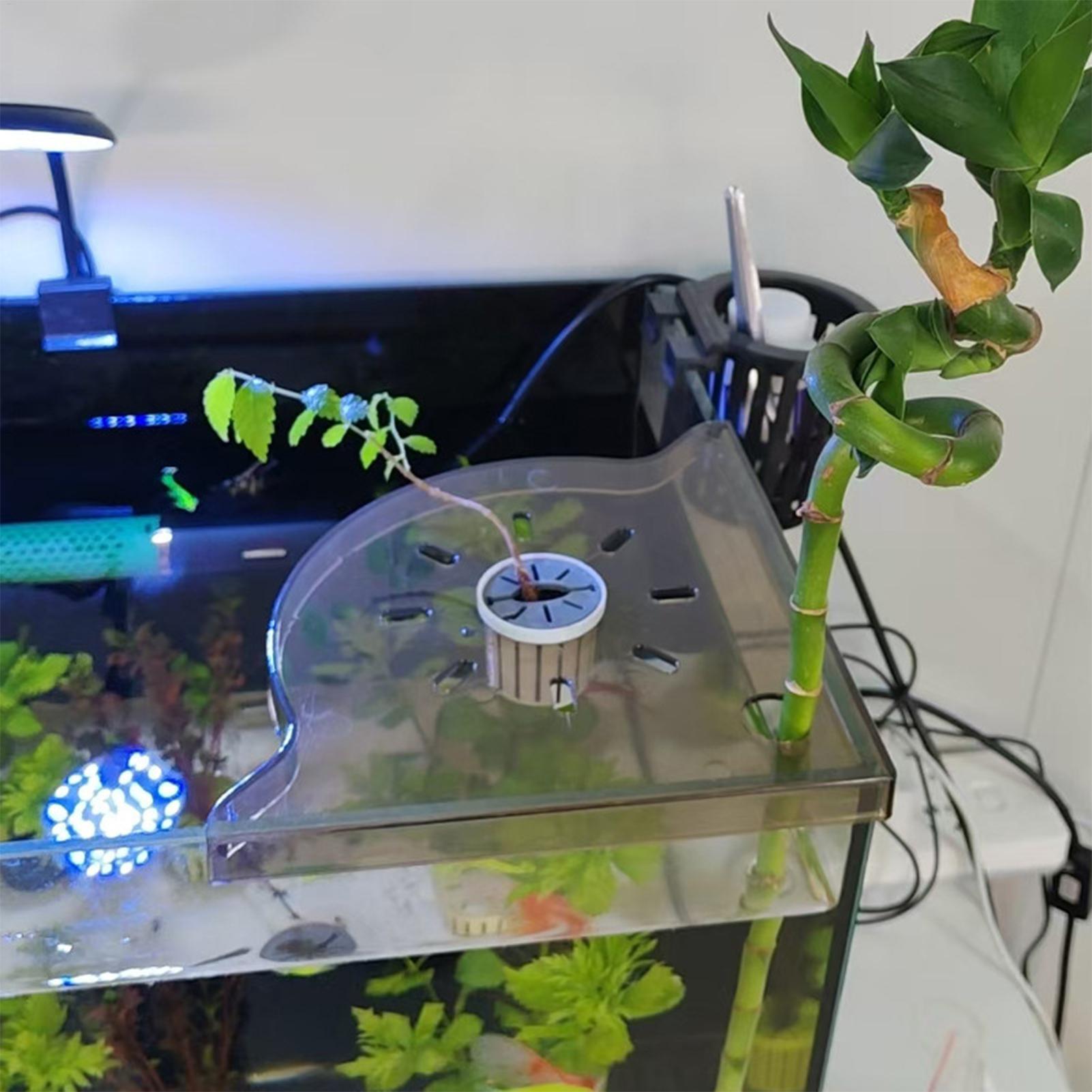 Triangle Fish Tank Corner Stor - Aquarium Plants Live recension och pris