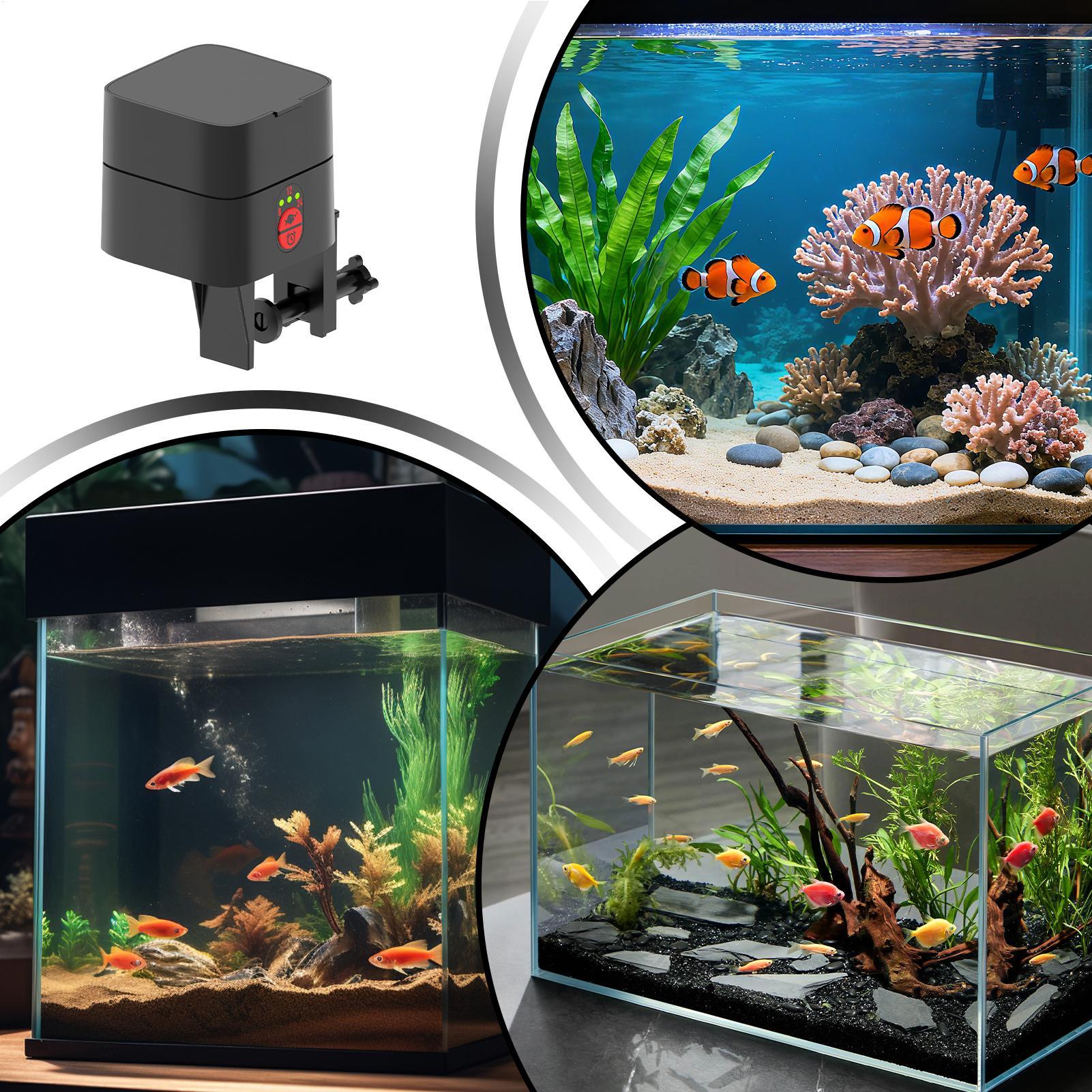 Auto Fish Feeder For Aquarium  - Aquarium Fertilizer recension och pris