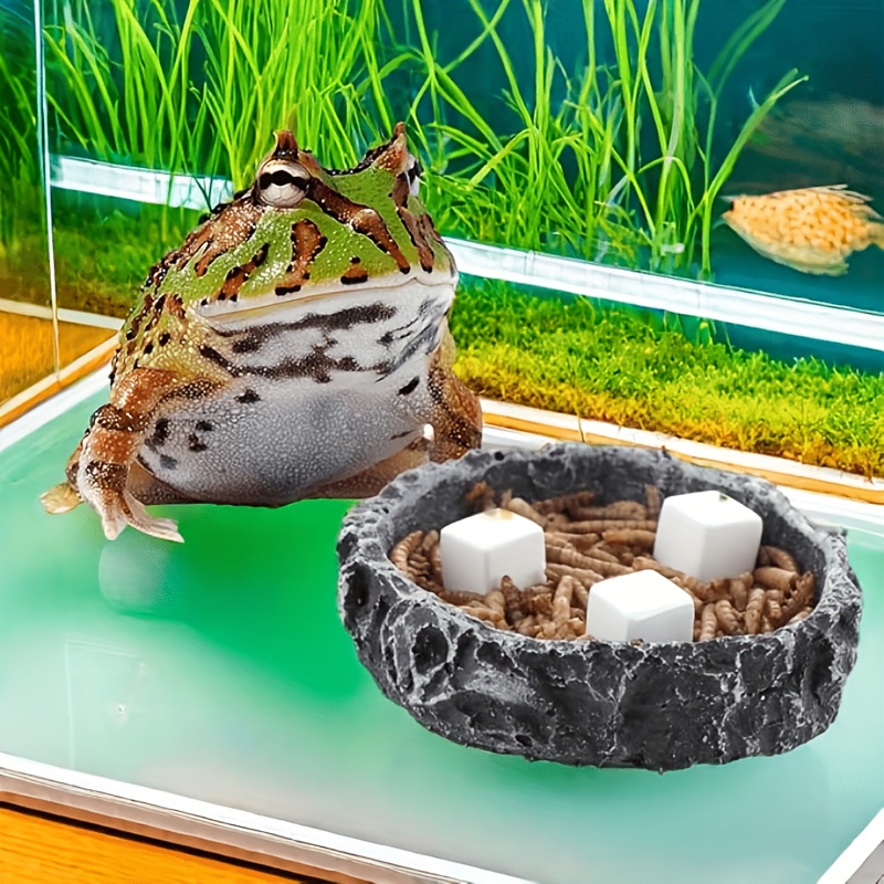 6 Pcs Fish Tank Calcium Block  - Aquarium Fertilizer recension och pris